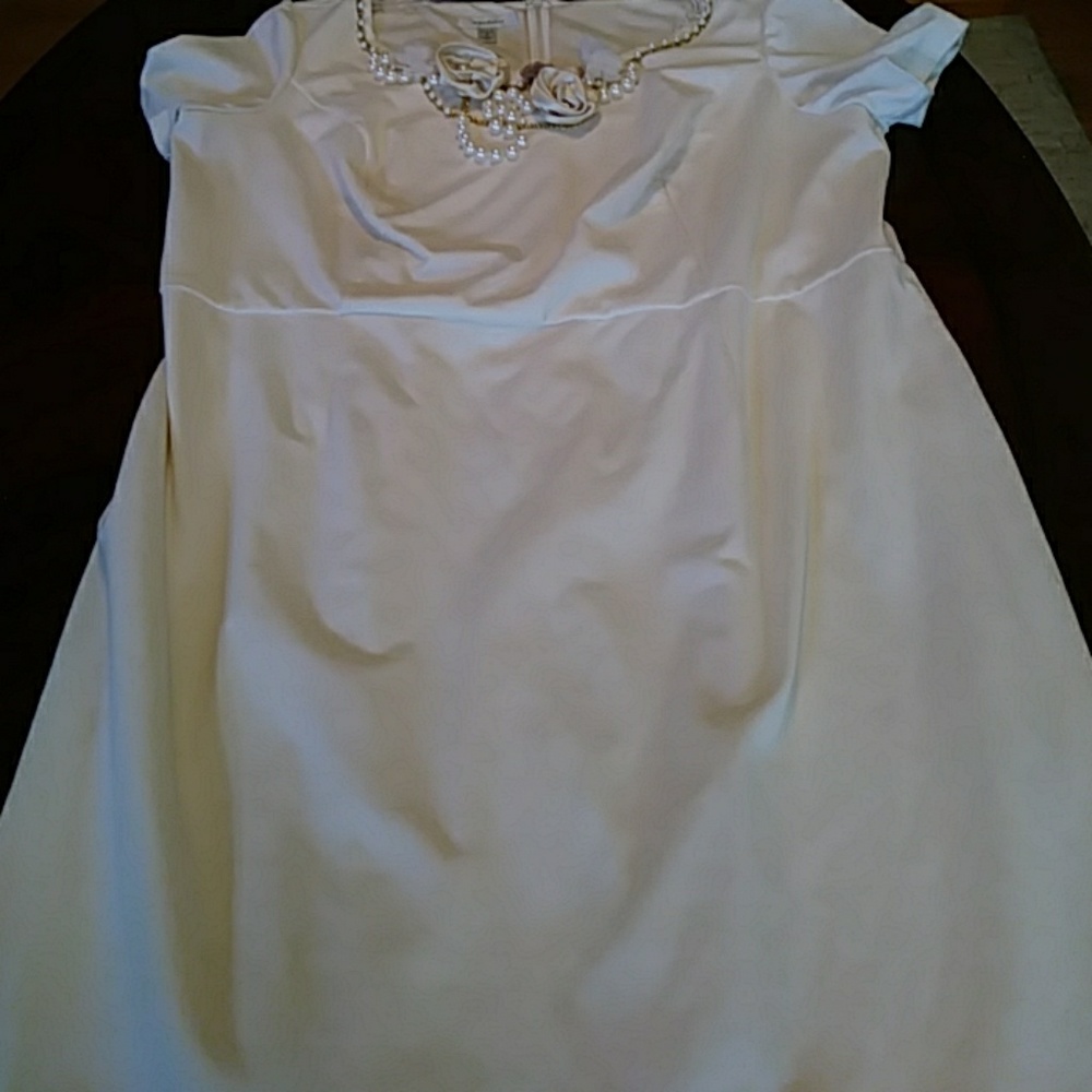 Ivory White Size 18 Mint Condition Dress